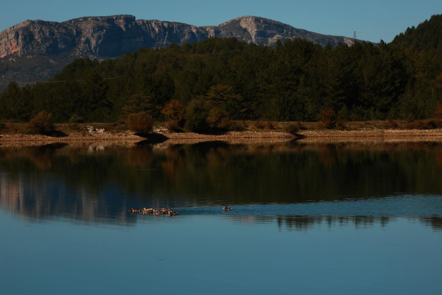 Protect Nature While You Still Can 2026